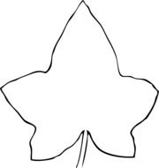 Colourless leaf