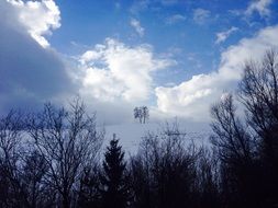 thick white clouds over trees