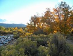 Landscape of nature in autumn season
