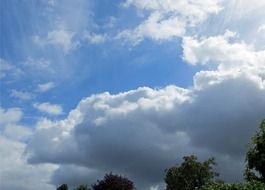 White dense clouds over trees