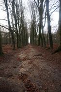 walking path in an autumn park