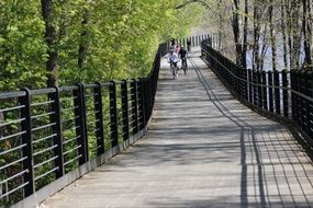 bridge in park scenic