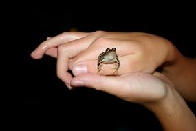 small cute frog