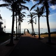 unusually beautiful morning beach