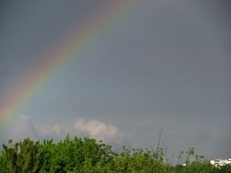 rainbow in the sky above the trees