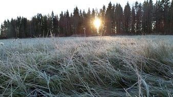 icy landscape winter