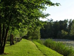 water river grass