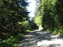 Picture of mountain landscape