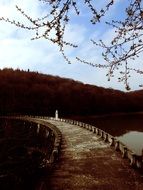 curved road on dam across water reservoir at forest