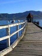 sea pier bridge house birds coast