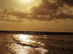 wooden poles in ocean