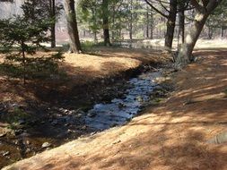 landscape of river stream in the park