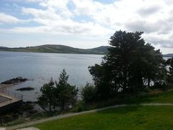 ocean coastline in summer