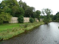 fence and trees near the river