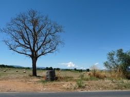 wonderful tuscany landscape