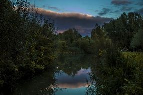 forest reflection on the pond water