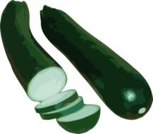 zucchini squash