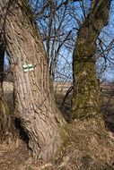 hiking trail in southern Bohemia