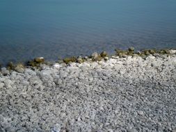 gray stony lake beach