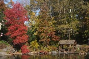 tranquility autumn garden landscape with wooden canope at pond