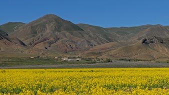 wonderful tibet landscape