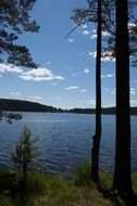 landscape of Blue lake in the pine forest in Russia