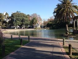 palm trees around the city lake