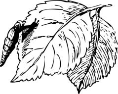 black and white sketch of a snail on a tree leaf