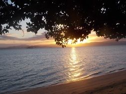 dusk seascape with dark foliage at foreground