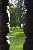 landscape view of park trees