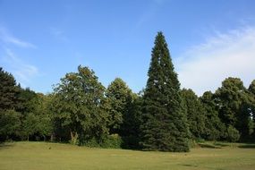 late summer time in a park