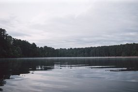 reflection of trees in a pond