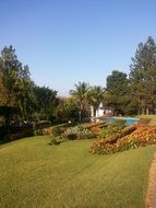 colorful flowerbeds on lawn at pond in park