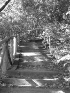 staircase in the park in black and white background