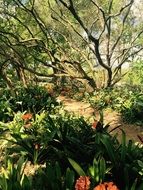 Summer garden