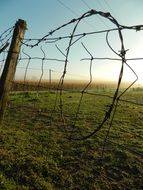 the fence on the pasture