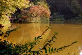 wooden bridge over the lake among the picturesque autumn