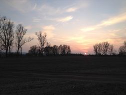 arable fields in the evening in autumn