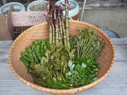 edible wild plants in a bowl