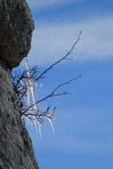 ice training winter cold nature