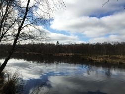sky reflected in the river in the forest