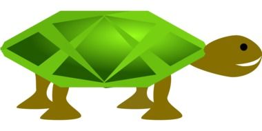 green turtle as a graphic image
