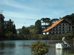 swan paddle boat on the lake
