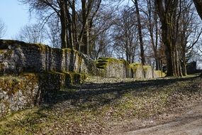 castle ruin in the park