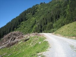 rural road in the alpine mountains in summer