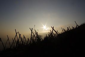 landscape of field in nature in France