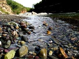 colorful pebbles on river bed