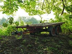 Trailer under the leaves