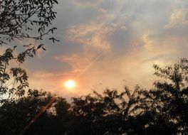 Beautiful and colorful setting sun in the clouds above the trees