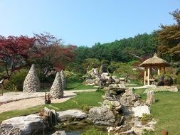 arboretum nature landscape summer